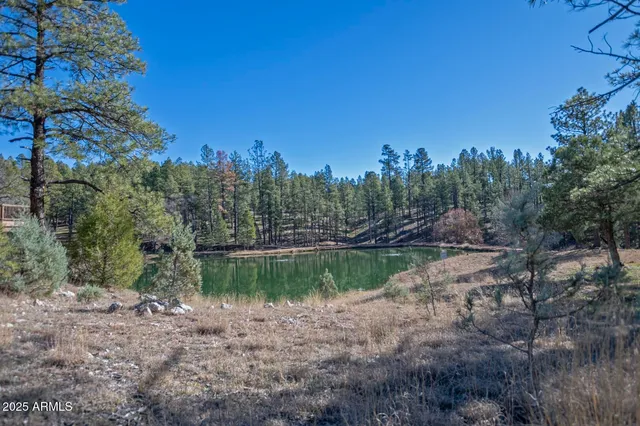 a view of a lake with green space