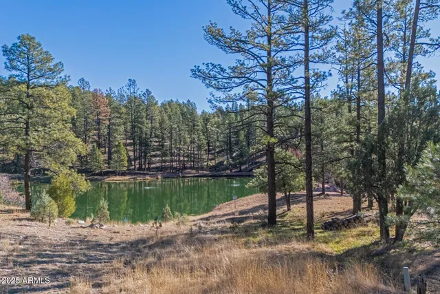 a view of a lake with a house in the background