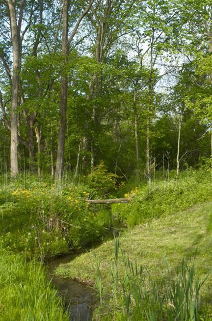 17360 Boyle Lake Road Buchanan, MI 49107 - Photo 4 of 24 Additional Photo