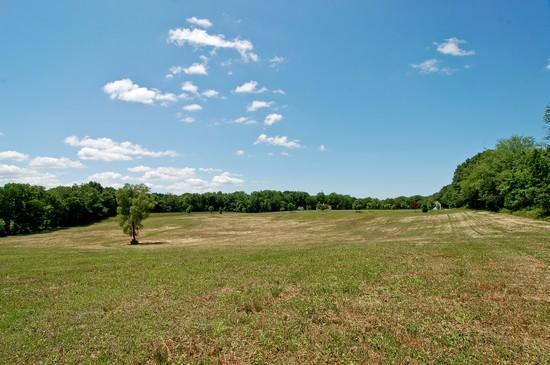17360 Boyle Lake Road Buchanan, MI 49107 - Photo 10 of 24 Additional Photo
