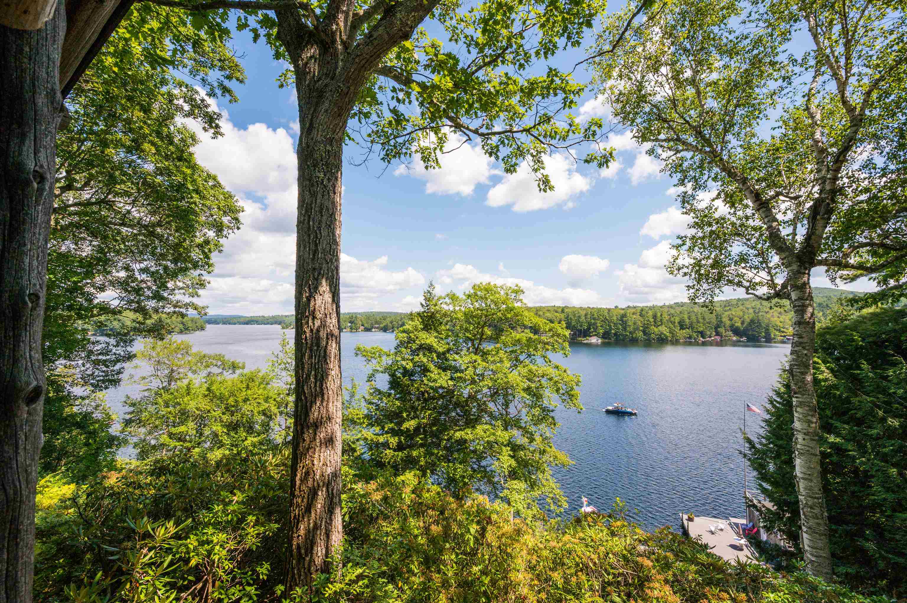 251 Bay Point Road Newbury, NH 03255 - Photo 37 of 60 Gallery Image 37