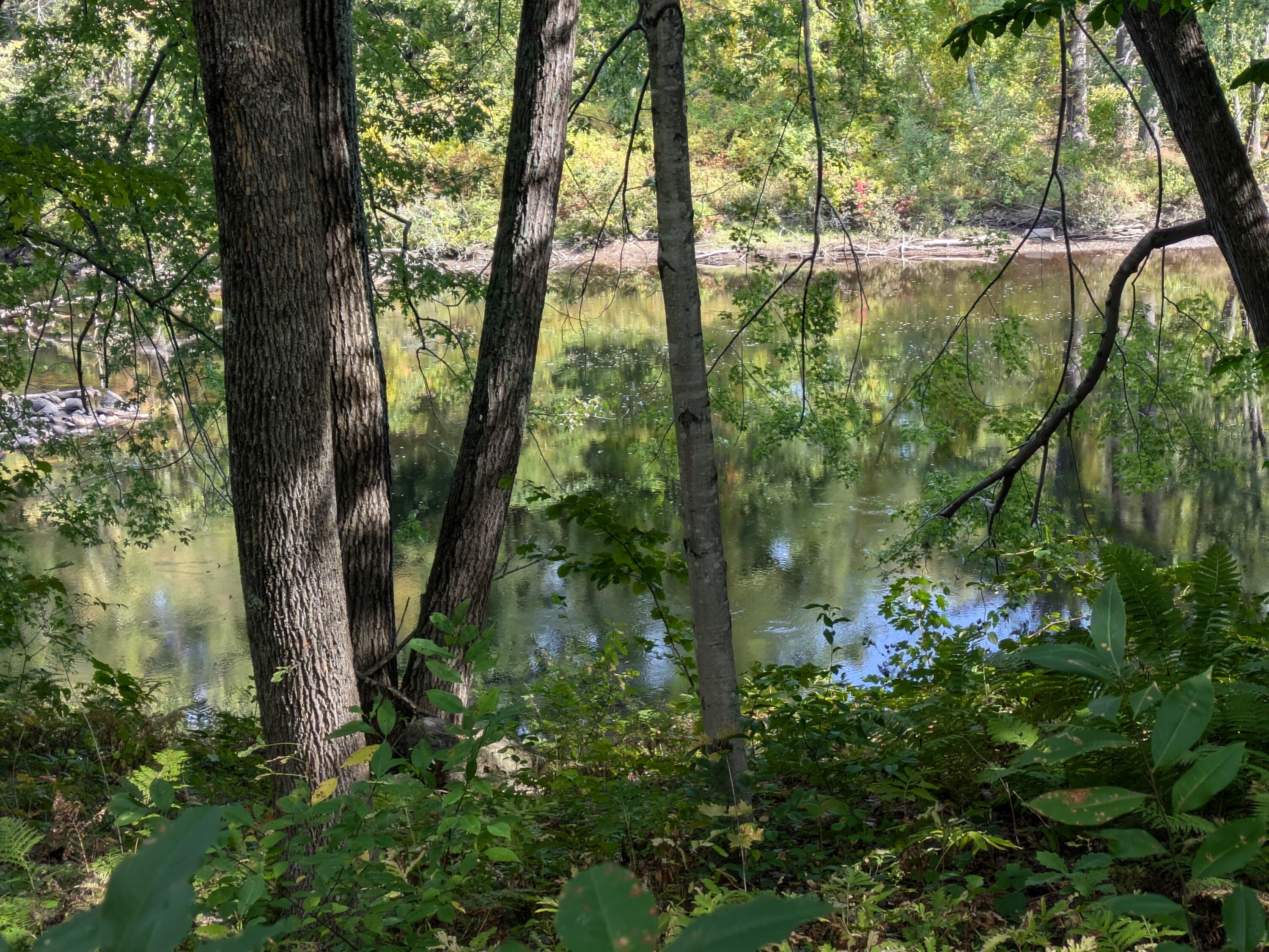 25 Bridge Street Cornish, ME 04020 - Photo 15 of 39 PXL_20240918_150709823