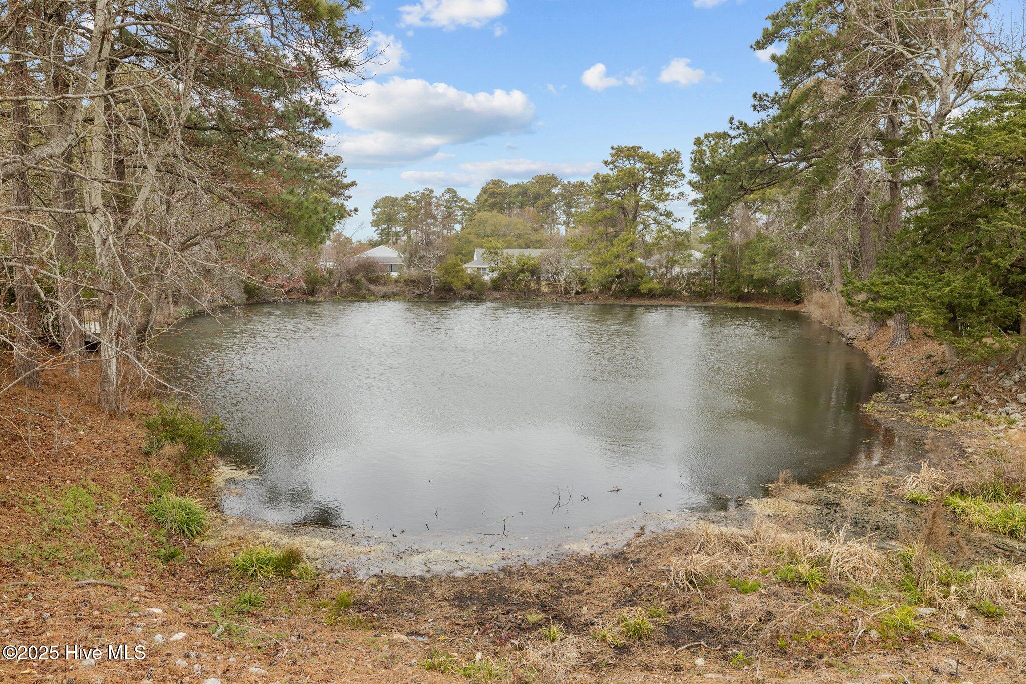 303 Barbour Road, Unit 303 Morehead City, NC 28557 - Photo 39 of 43 38-web-or-mls-1S3A0875