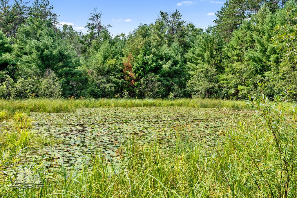 5403 Griffin Road Lewiston, MI 49756 - Photo 21 of 31 Nelson21