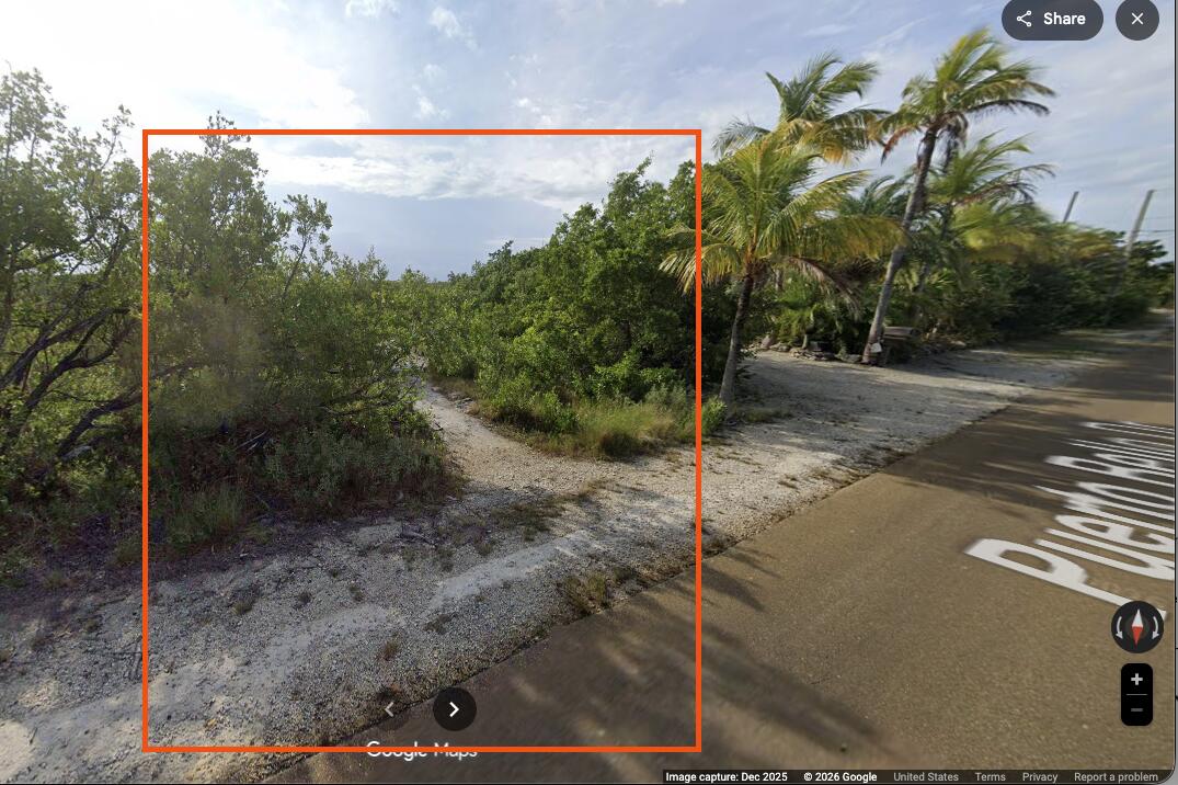 0 Bk 14 Summerland Key, FL 33042 - Photo 2 of 2 a view of a forest