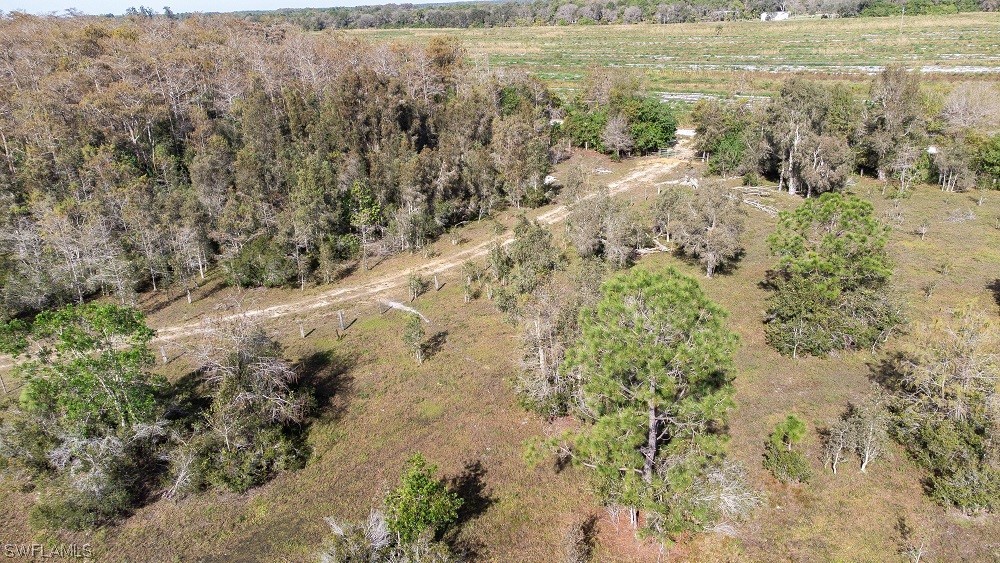 1685 A Road LaBelle, FL 33935 - Photo 2 of 15 Gallery Image 2