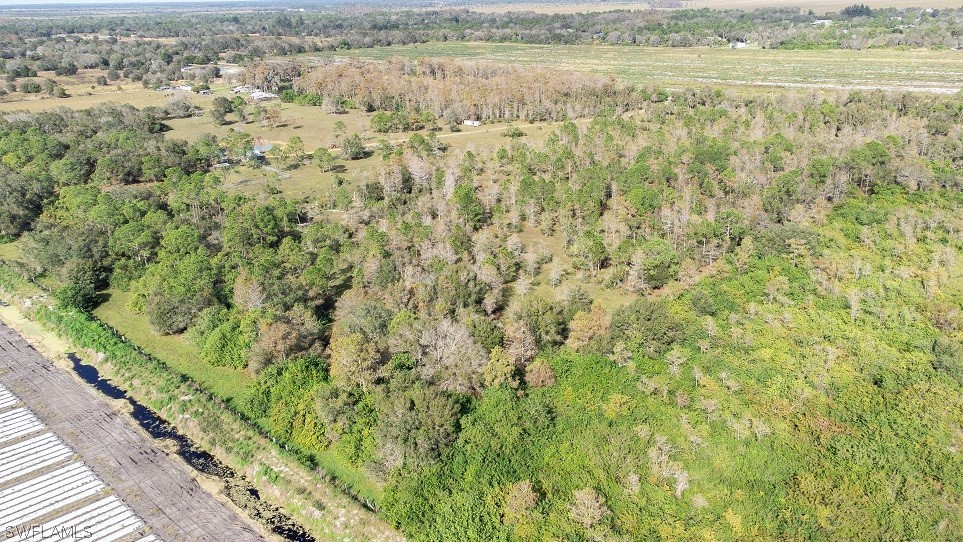 1685 A Road LaBelle, FL 33935 - Photo 10 of 15 Gallery Image 10