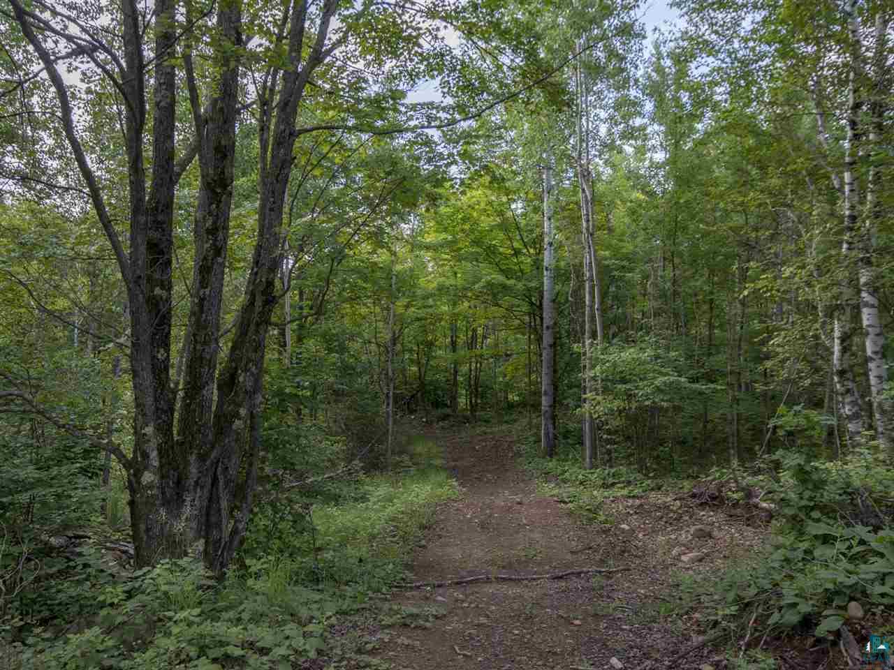 5290 Howard Gnesen Road Duluth, MN 55803 - Photo 19 of 23