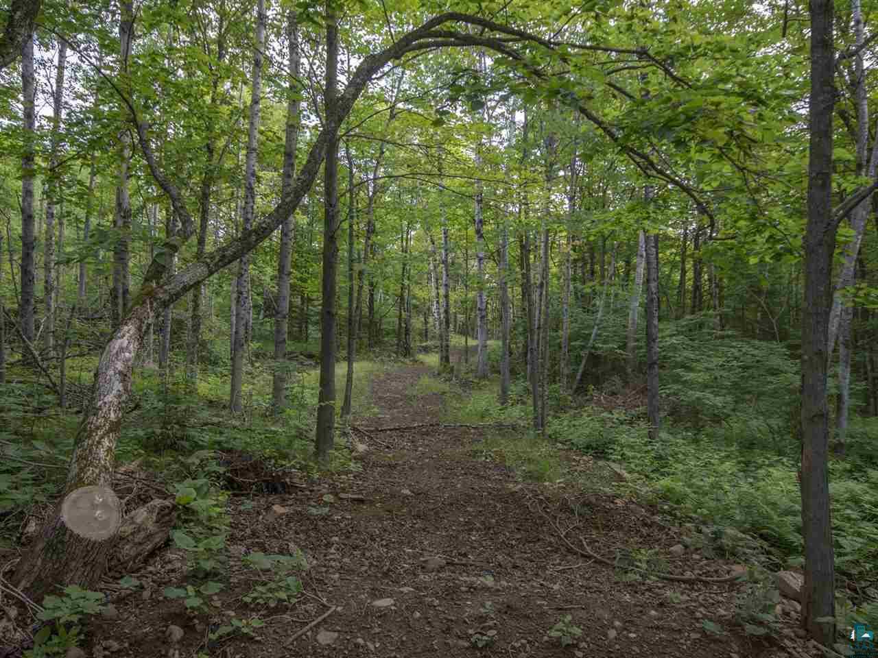 5290 Howard Gnesen Road Duluth, MN 55803 - Photo 20 of 23