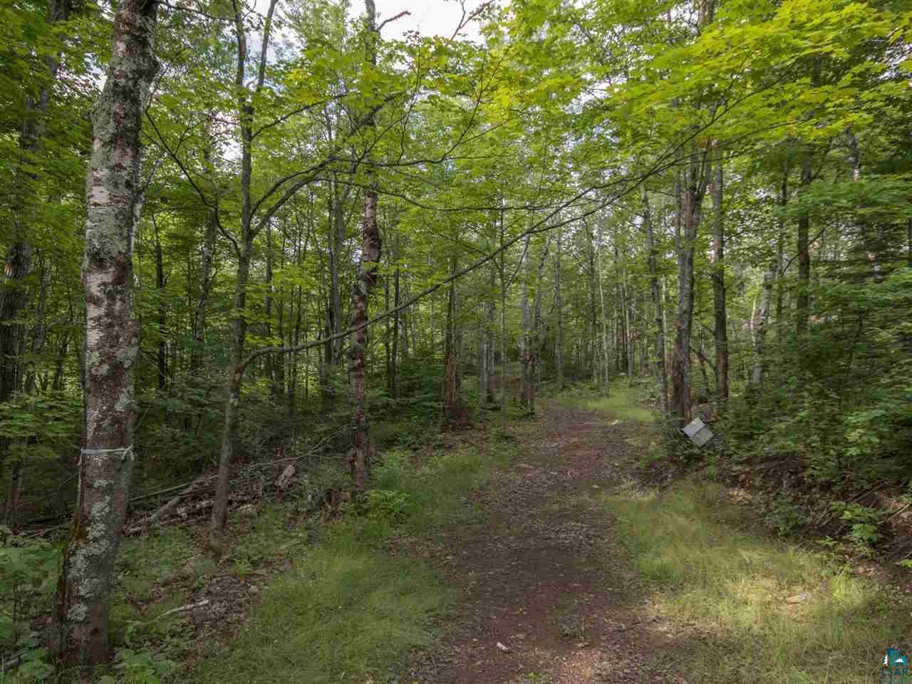 5290 Howard Gnesen Road Duluth, MN 55803 - Photo 21 of 23