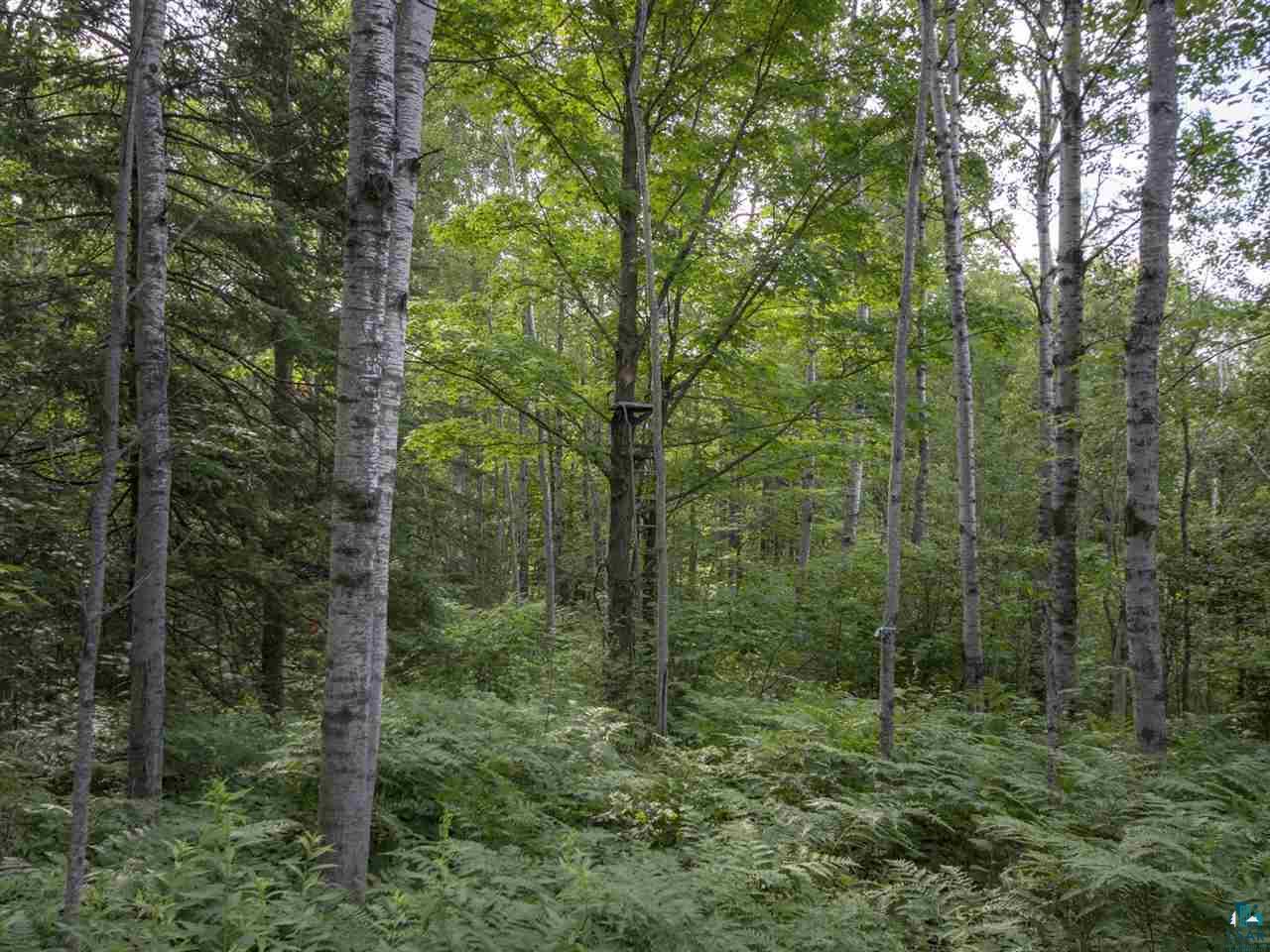 5290 Howard Gnesen Road Duluth, MN 55803 - Photo 23 of 23