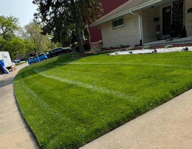 a view of a backyard with potted plants and large trees