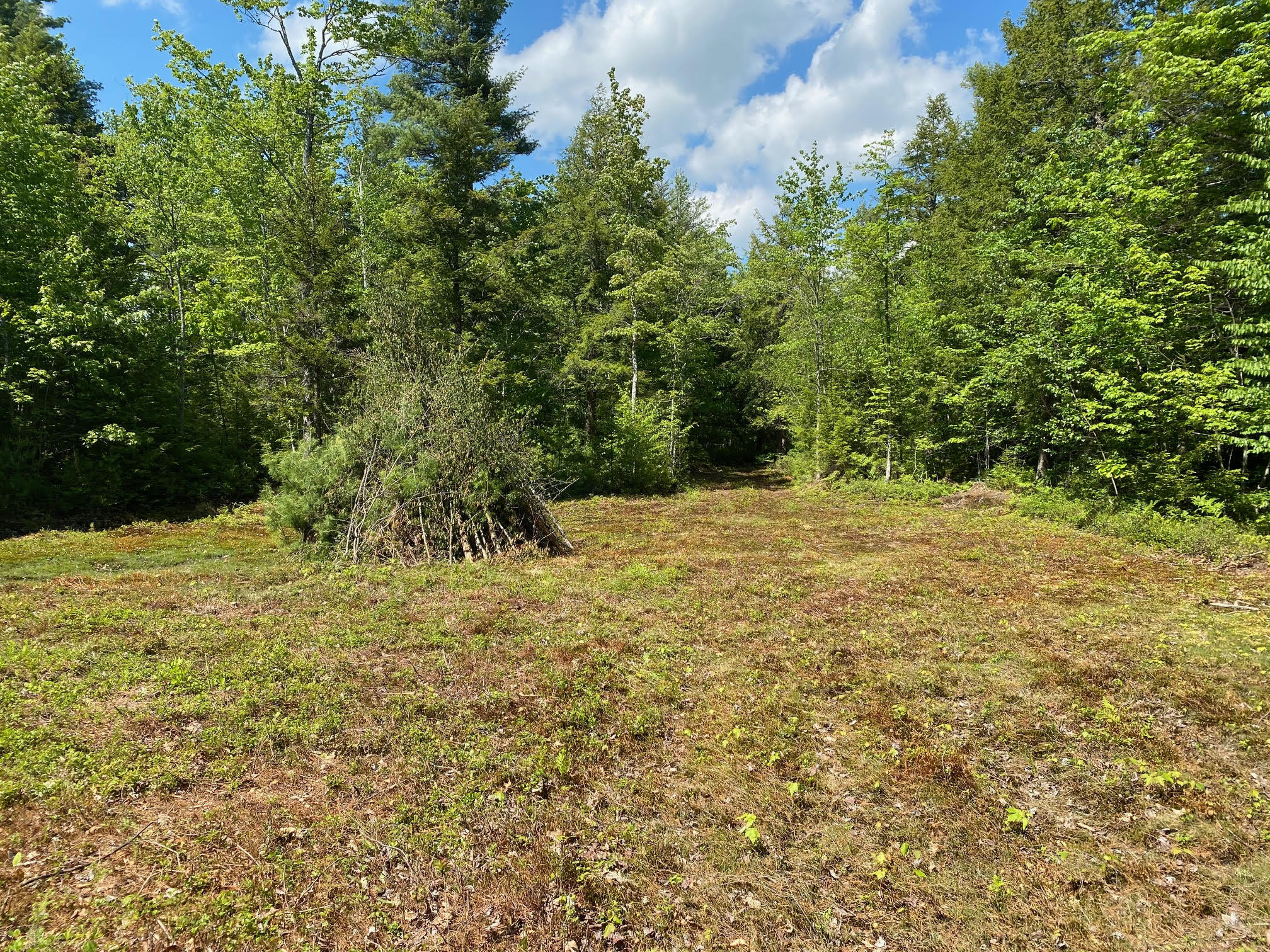 0 Deering Road Gorham, ME 04038 - Photo 1 of 5 1