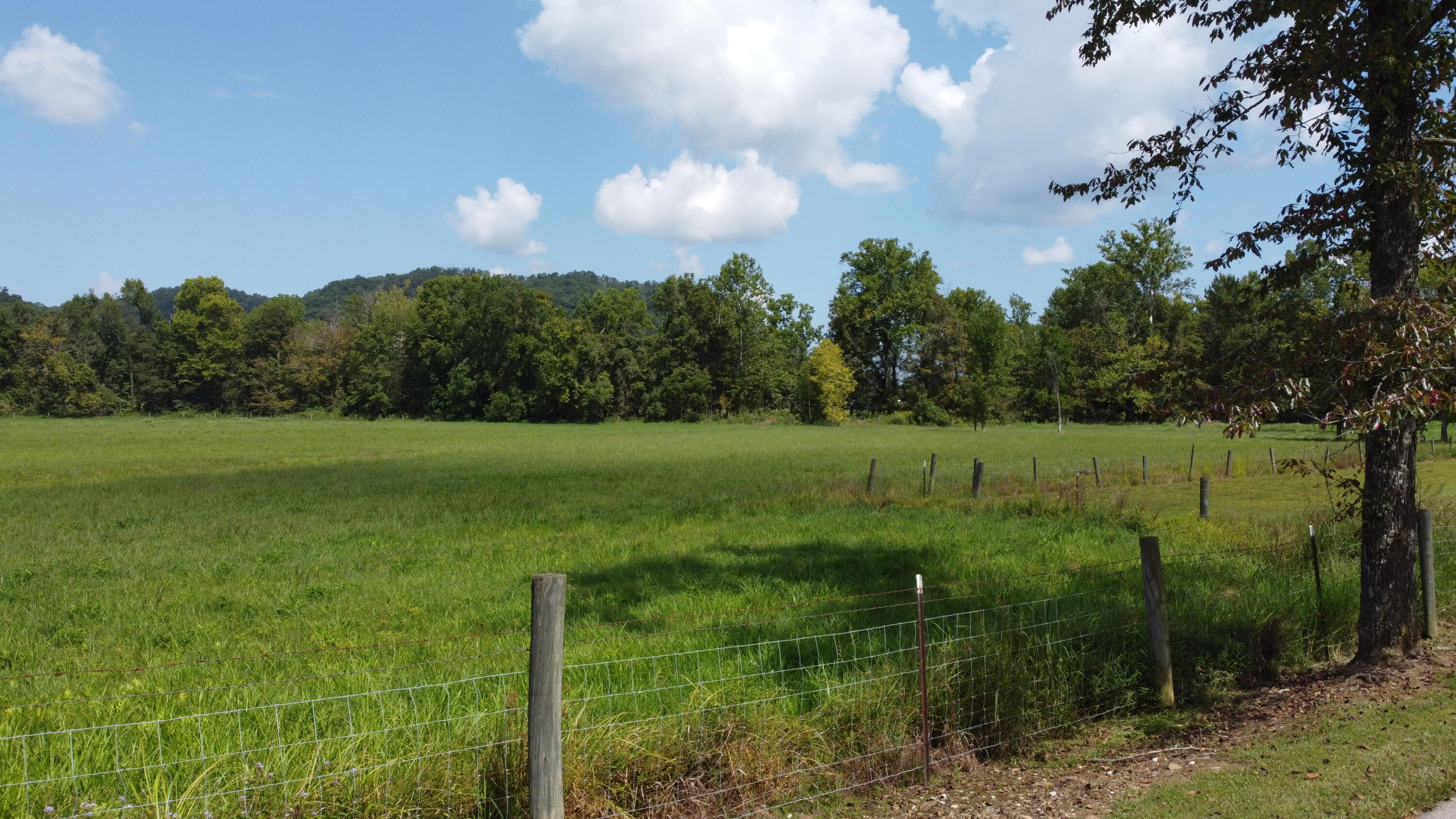 337 C Highley Road Salt Lick, KY 40371 - Photo 37 of 75 DJI_0506