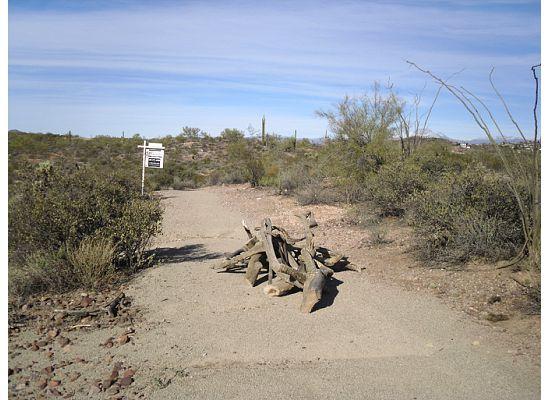 1585 North Roadrunner Road Apache Junction, AZ 85119 - Photo 3 of 5 a view of a road with an ocean view