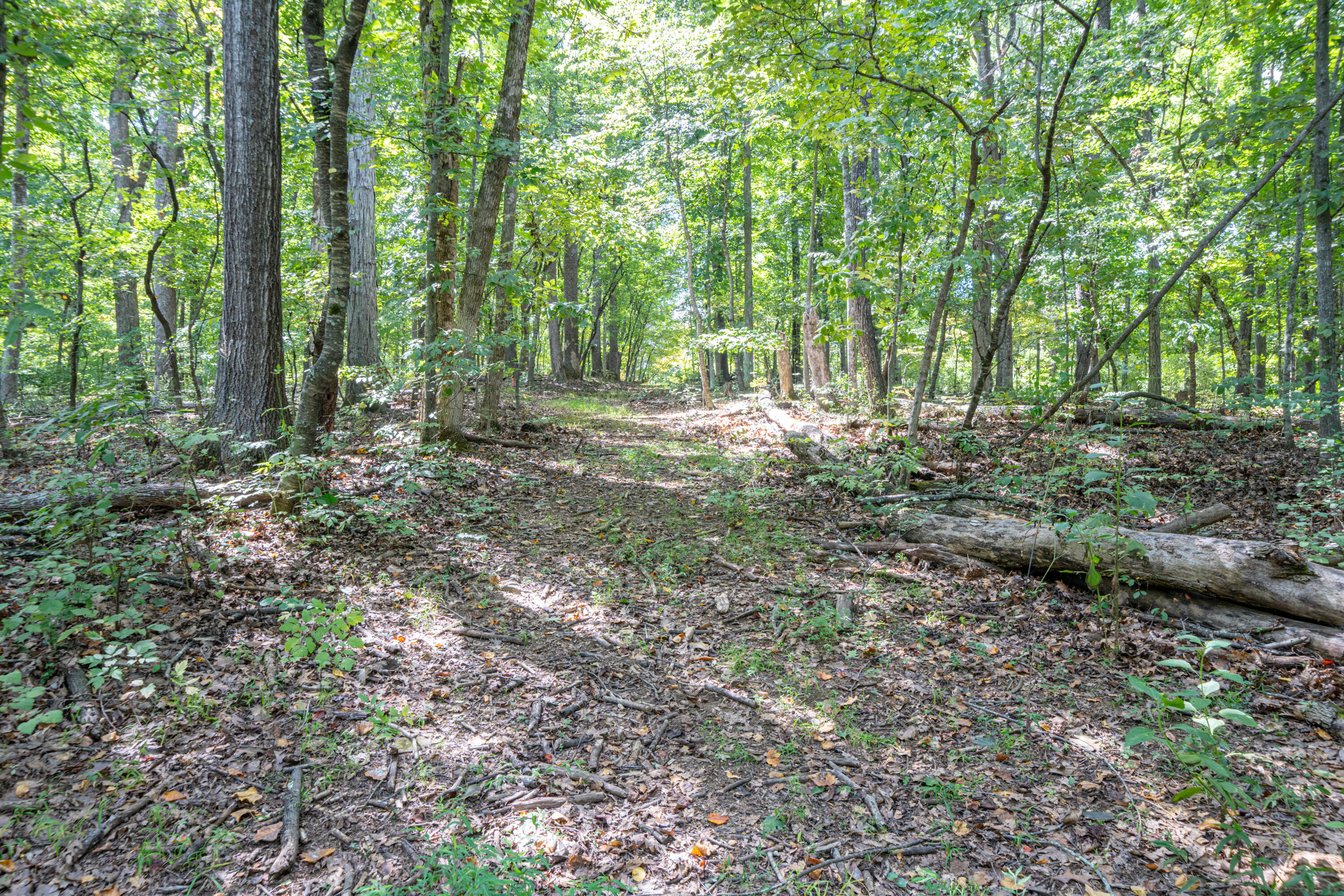 0 Country Club Road Troutville, VA 24175 - Photo 3 of 18 a view of a forest with trees in the background
