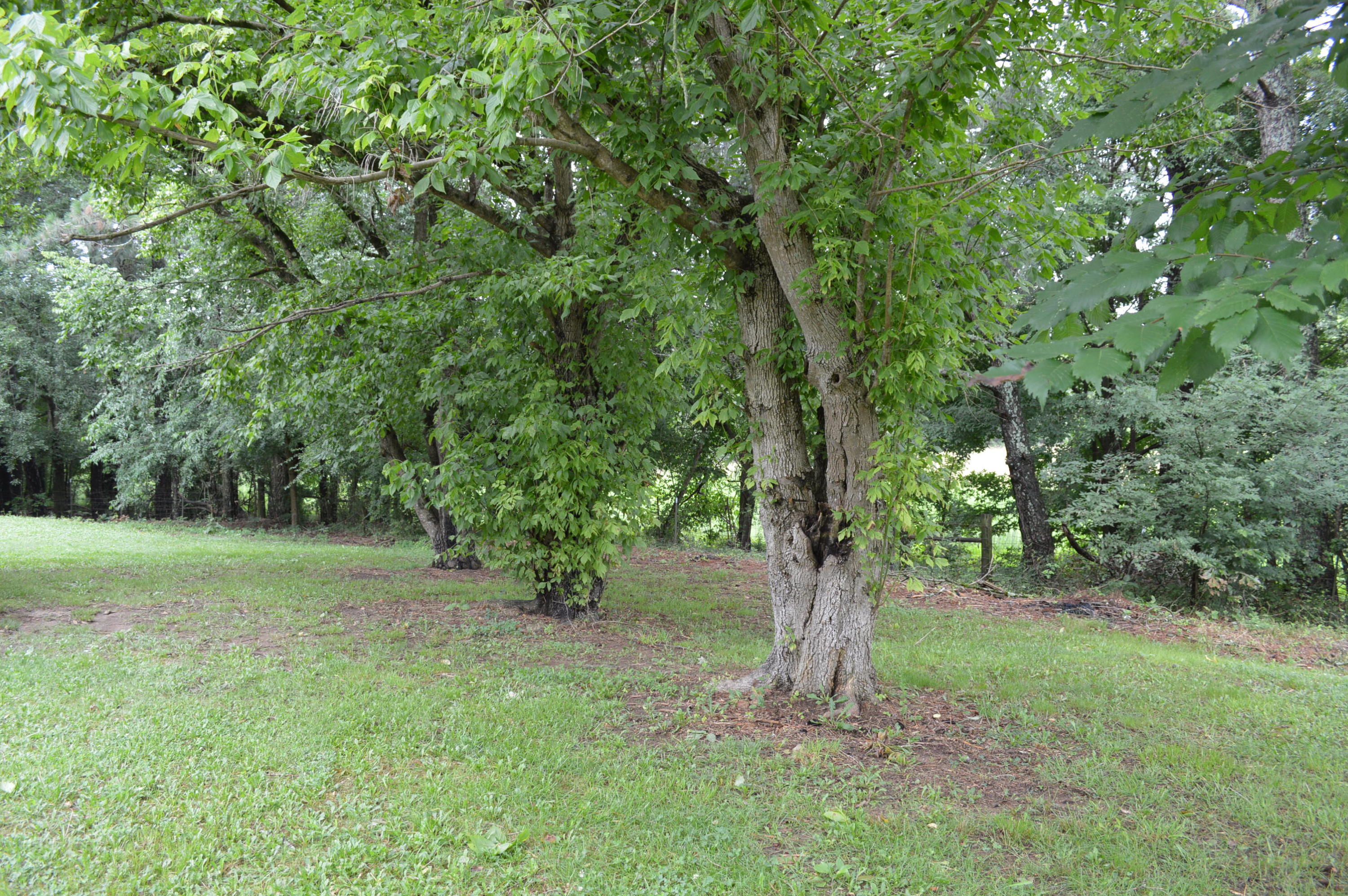 2374 East Emerson Road Cohutta, GA 30710 - Photo 28 of 39 DSC_1356