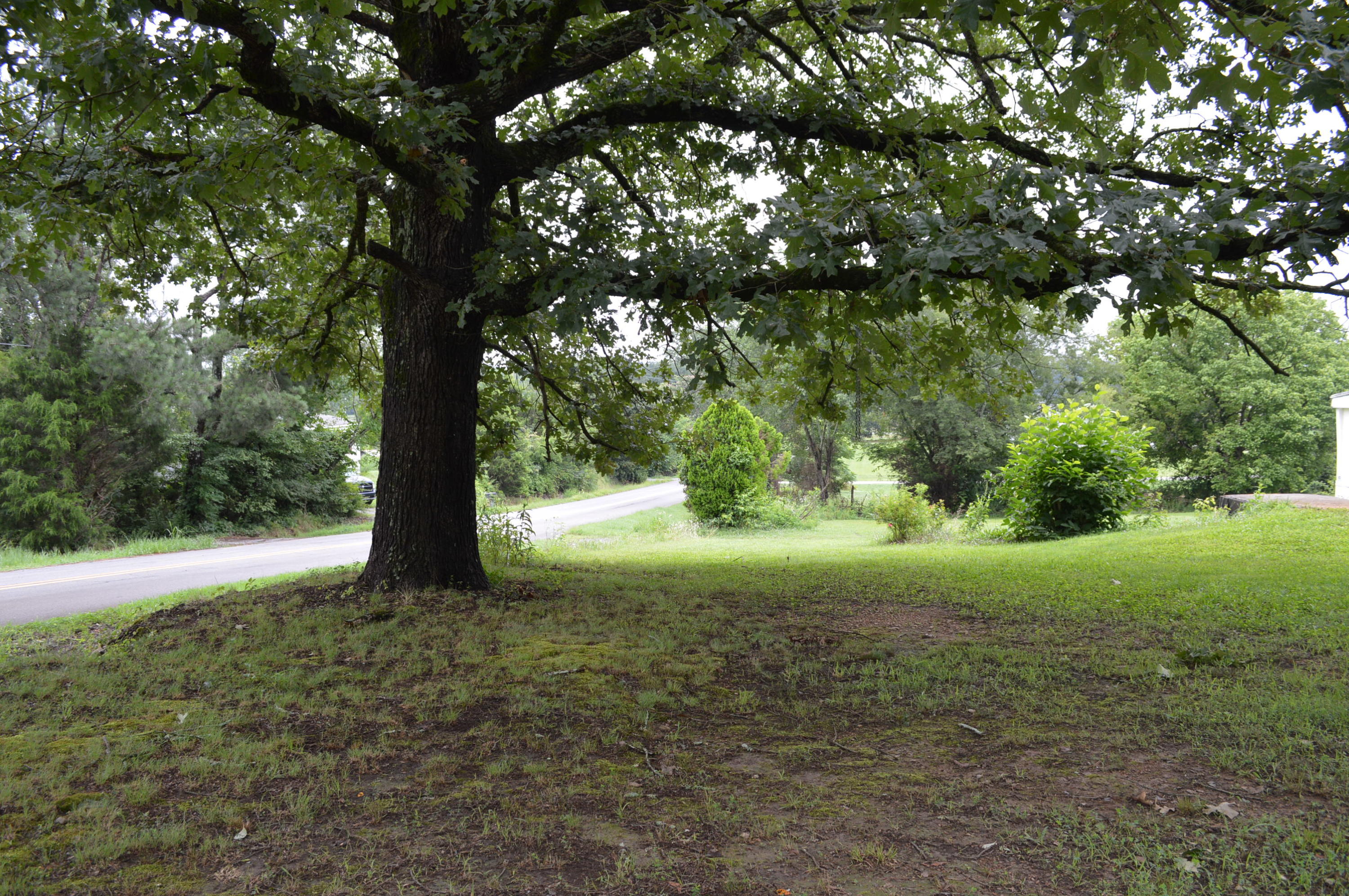 2374 East Emerson Road Cohutta, GA 30710 - Photo 30 of 39 DSC_1359