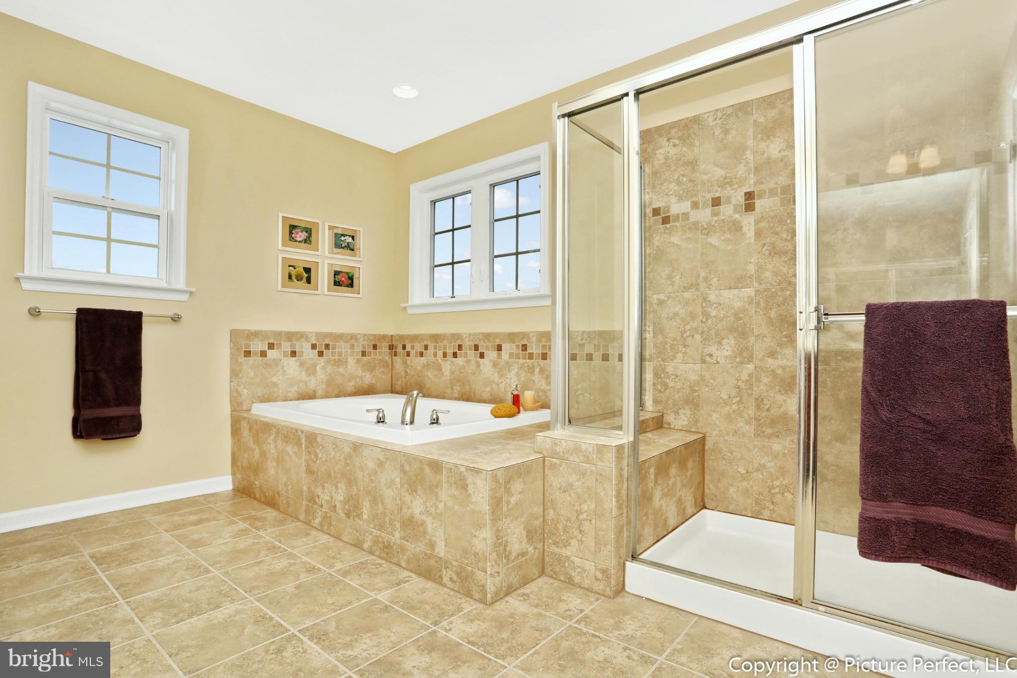4637 Mt Zion Road Frederick, MD 21703 - Photo 22 of 30 Bath (Master)