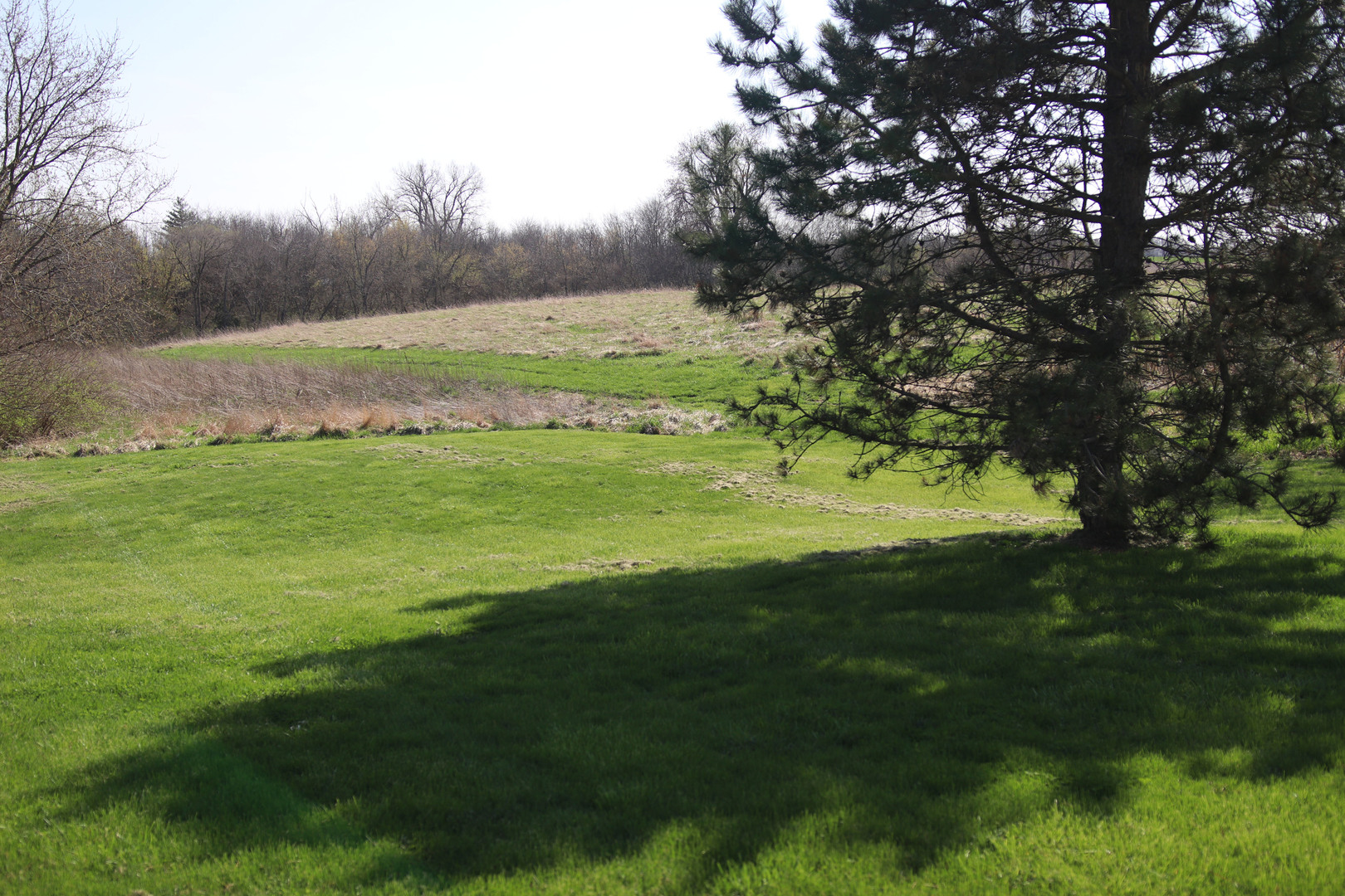 8792 Texas Church Road Clinton, IL 61727 - Photo 8 of 29 a view of an ocean from a yard