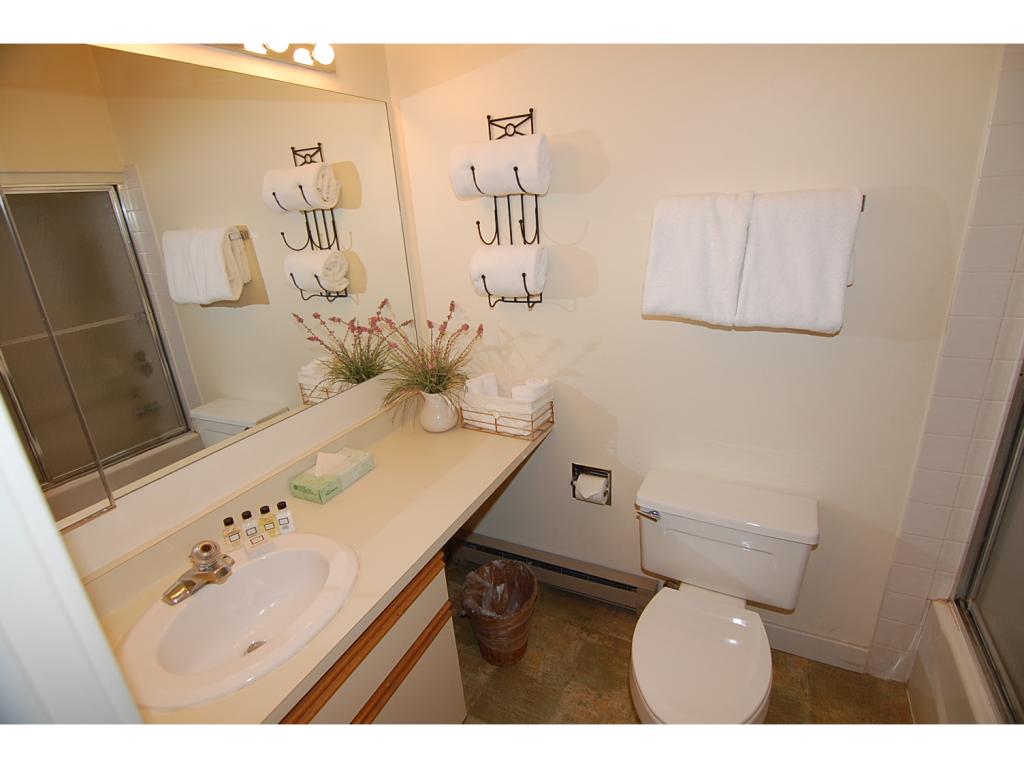 85 East Birch Road, Unit 10 Stratton, VT 05155 - Photo 10 of 12 Gallery Image 10