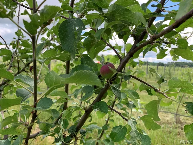 $280,000 | 646 State Highway, Harrisville, NY 13648