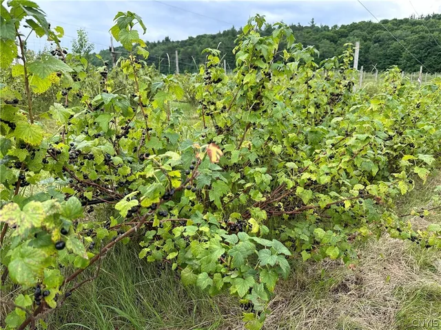 $280,000 | 646 State Highway, Harrisville, NY 13648