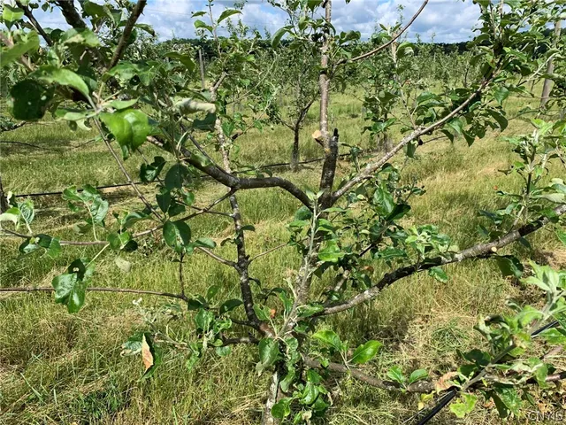 $280,000 | 646 State Highway, Harrisville, NY 13648