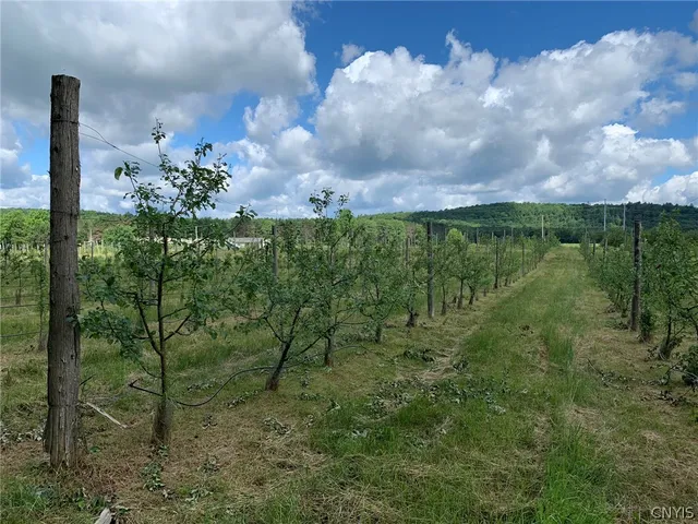 $280,000 | 646 State Highway, Harrisville, NY 13648