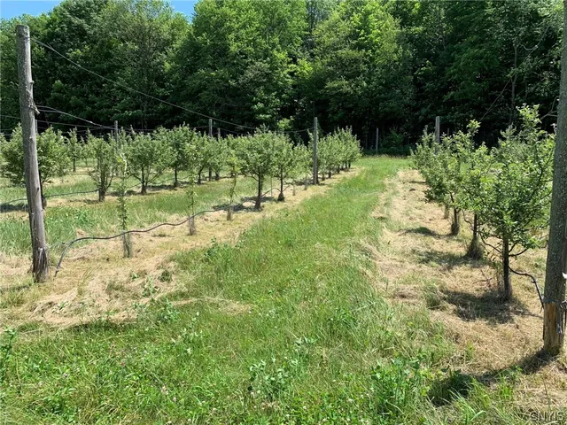 $280,000 | 646 State Highway, Harrisville, NY 13648