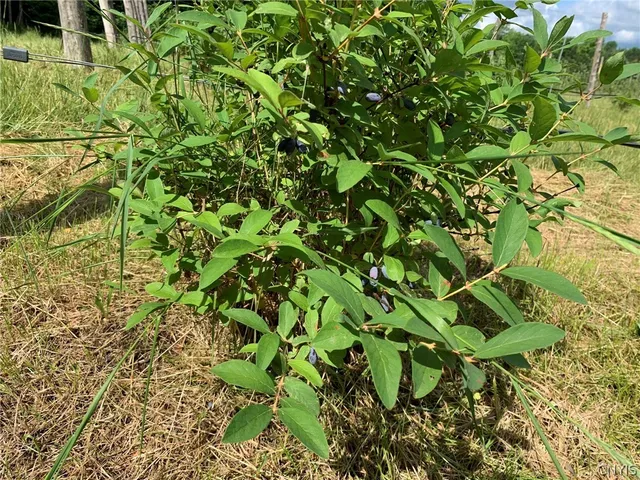 $280,000 | 646 State Highway, Harrisville, NY 13648