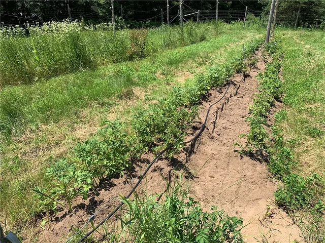 $280,000 | 646 State Highway, Harrisville, NY 13648