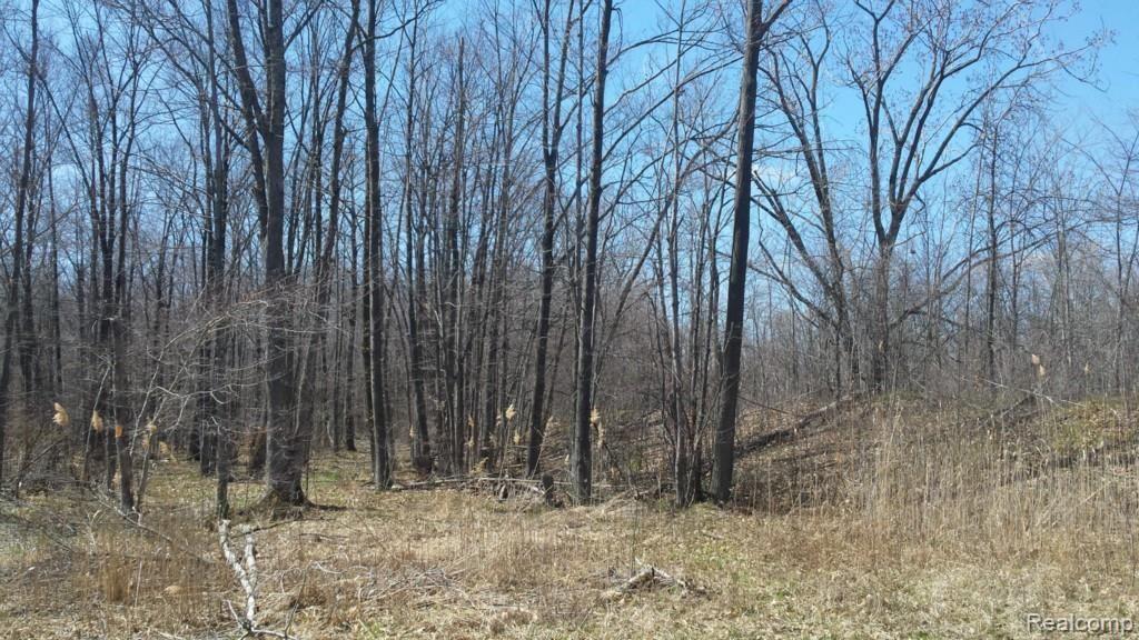 14814 Belle River Road Allenton, MI 48002 - Photo 3 of 17 Gallery Image 3