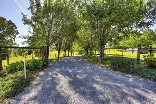 868 Reed Road Ten Mile, TN 37880 - Photo 37 of 40 a view of outdoor space with deck and yard
