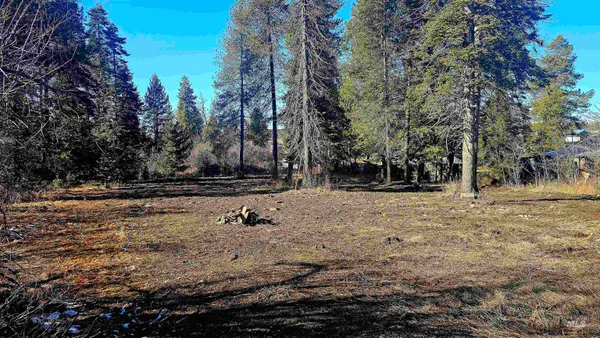 $65,000 | 92 Rouleau Loop, Weippe, ID 83553