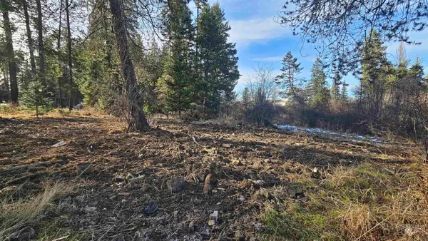 $65,000 | 92 Rouleau Loop, Weippe, ID 83553