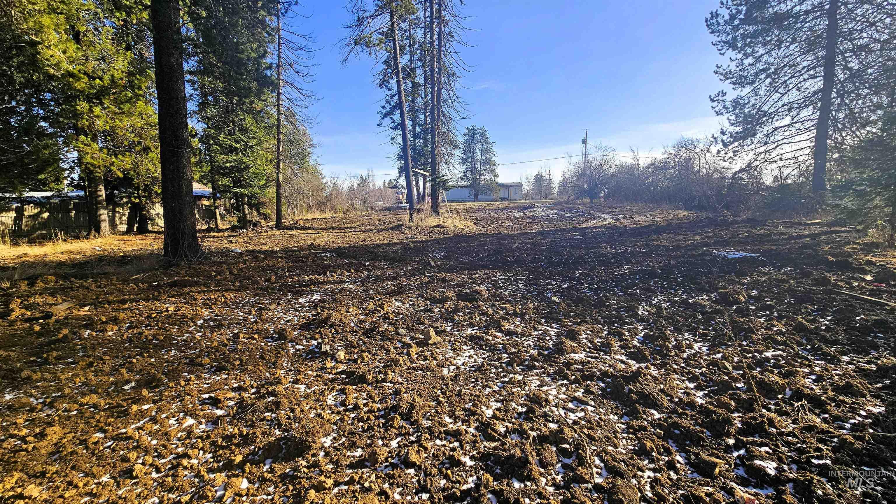 92 Rouleau Loop Weippe, ID 83553 - Photo 3 of 13 View of yard