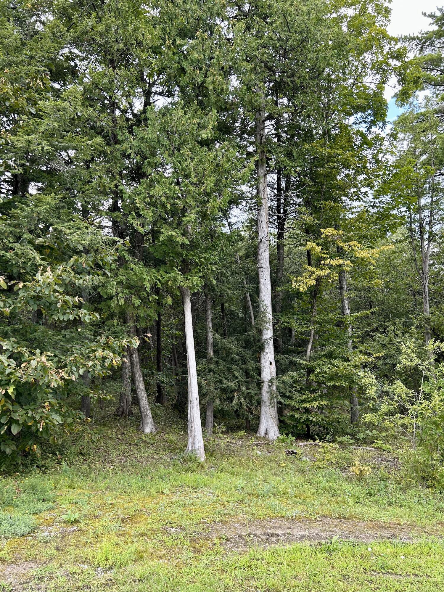 0 Bluff Point Drive Plattsburgh, NY 12901 - Photo 9 of 21 11