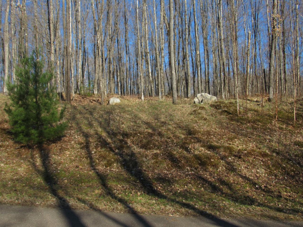 Along Hewitt Road, Unit LOT 1 Mercer, WI 54547 - Photo 3 of 32 Gallery Image 3