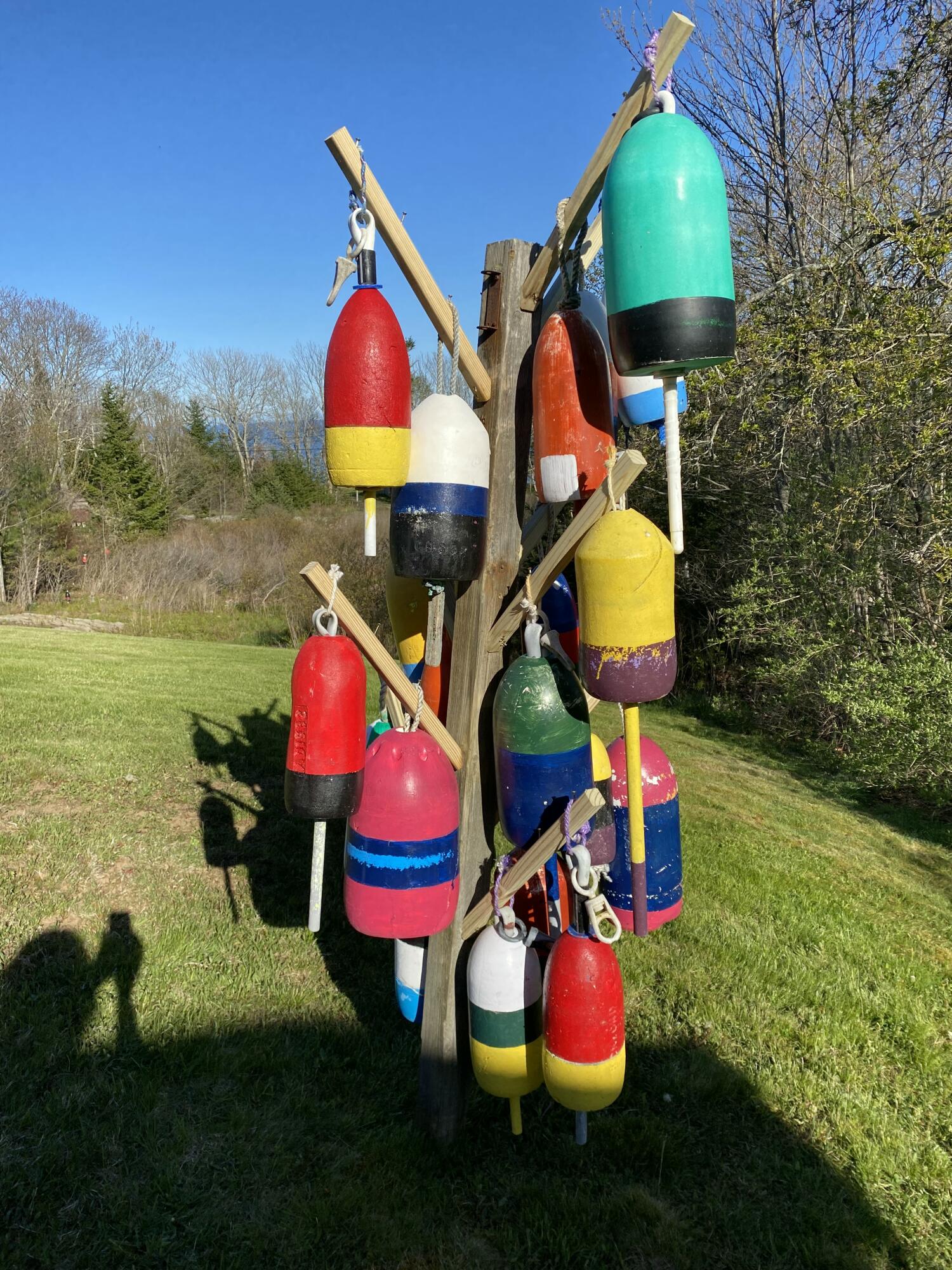 42 Old Mill Road New Harbor, ME 04554 - Photo 33 of 65 Buoy Tree