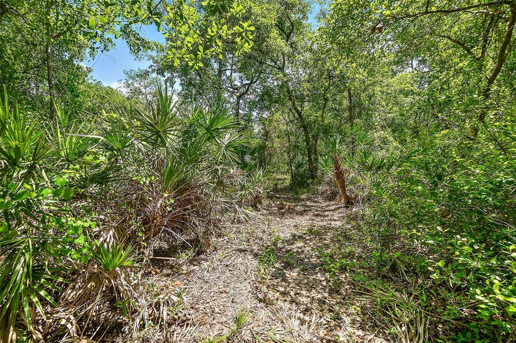 1370 Buckles Road Pierson, FL 32180 - Photo 46 of 57