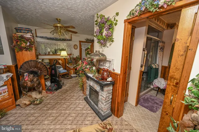 a view of an outdoor space and a yard