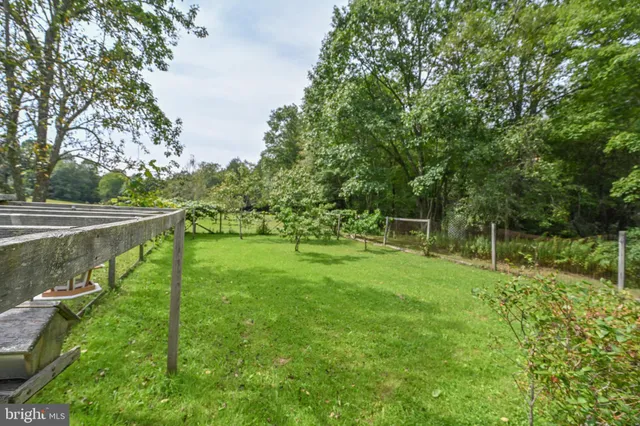 a view of a forest with a yard