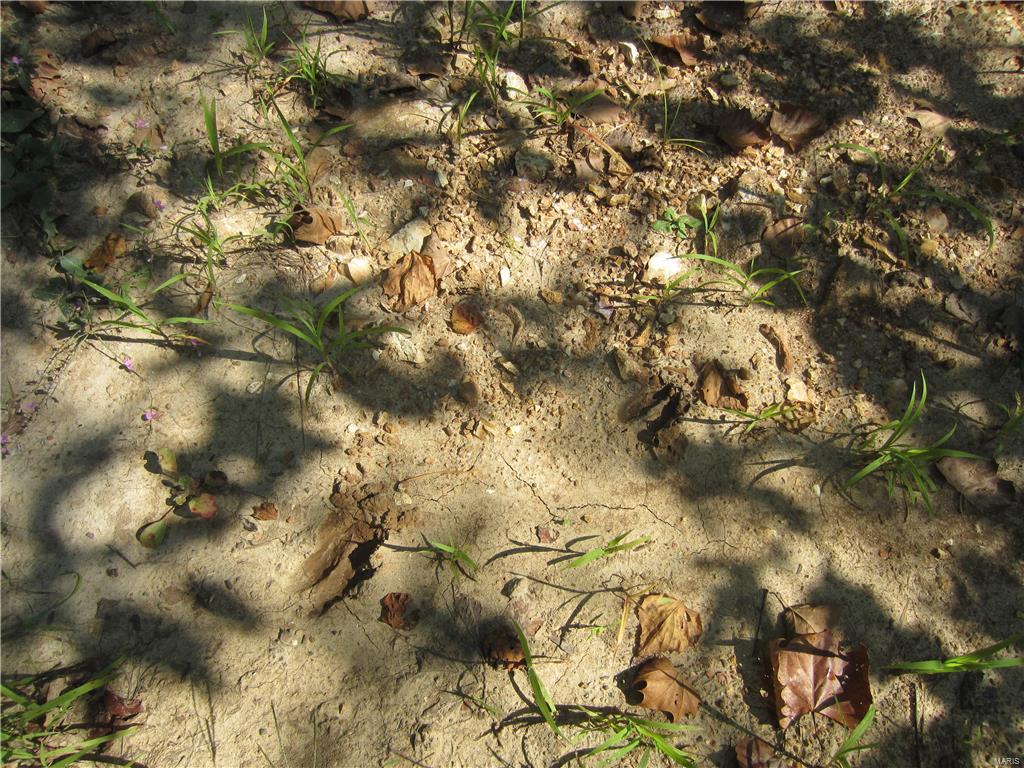0 Salt Spring Hollow Batchtown, IL 62006 - Photo 14 of 27 Gallery Image 14