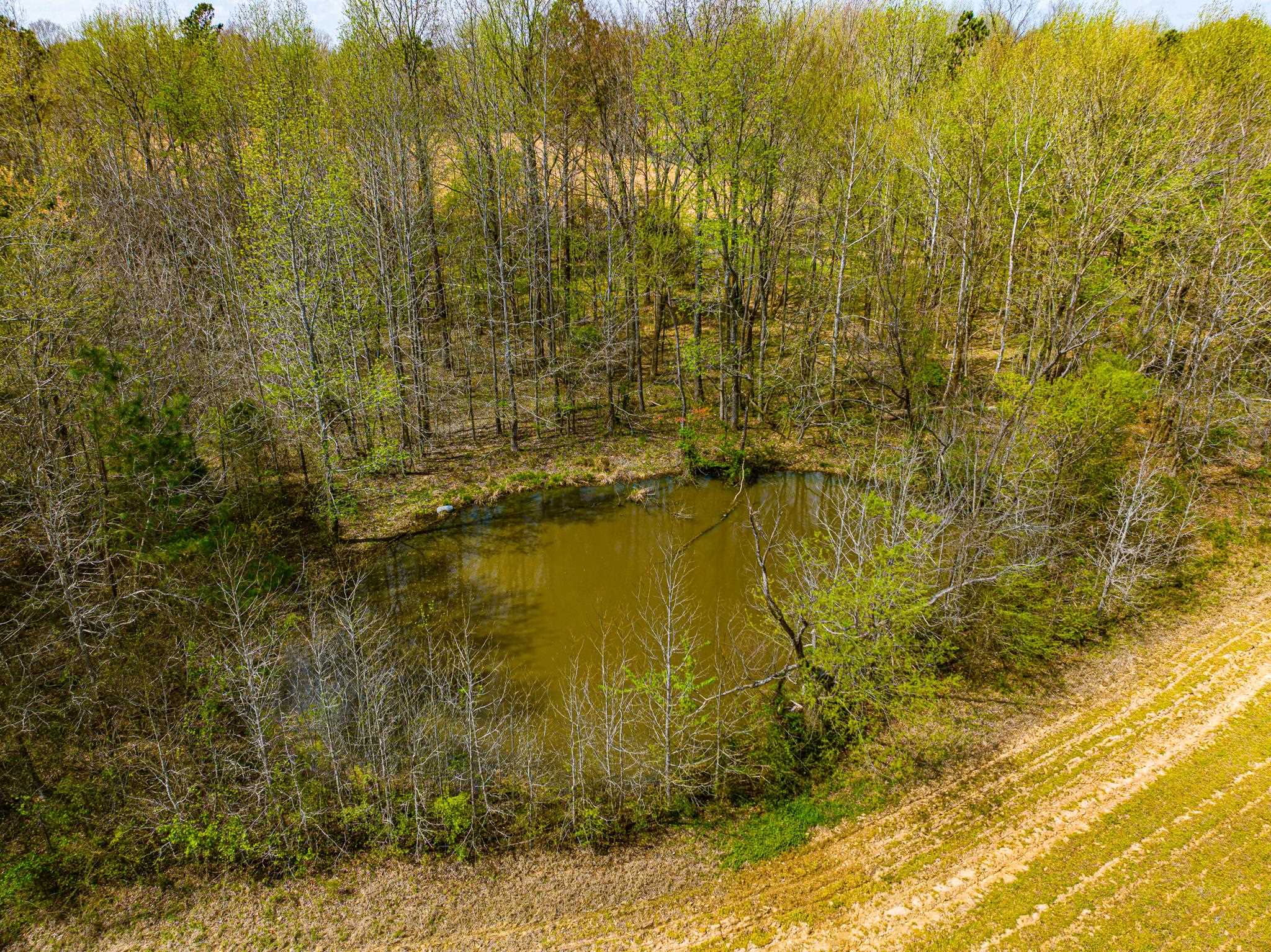 0 Pisgah Road Dresden, TN 38225 - Photo 5 of 40 Gallery Image 5