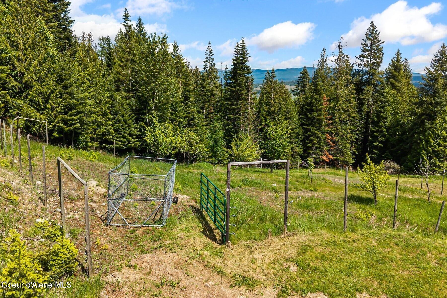 4456 West Side Road Bonners Ferry, ID 83805 - Photo 68 of 77 Fruit Trees