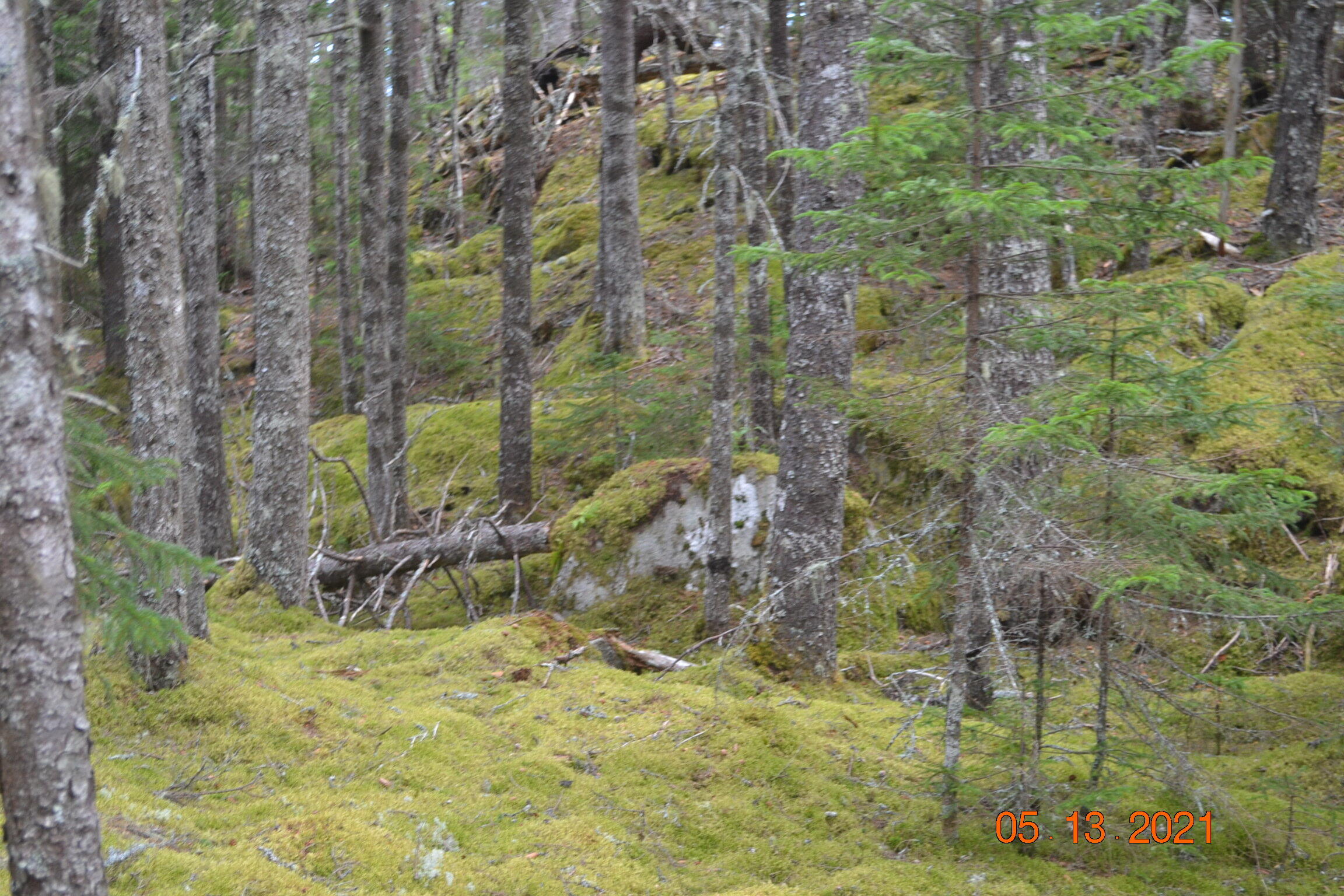 Lot 17-4 Destiny Bay Road Cutler, ME 04626 - Photo 10 of 13 DSC_0029