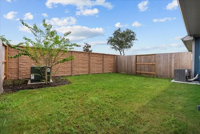 a view of a backyard with plants and a large tree