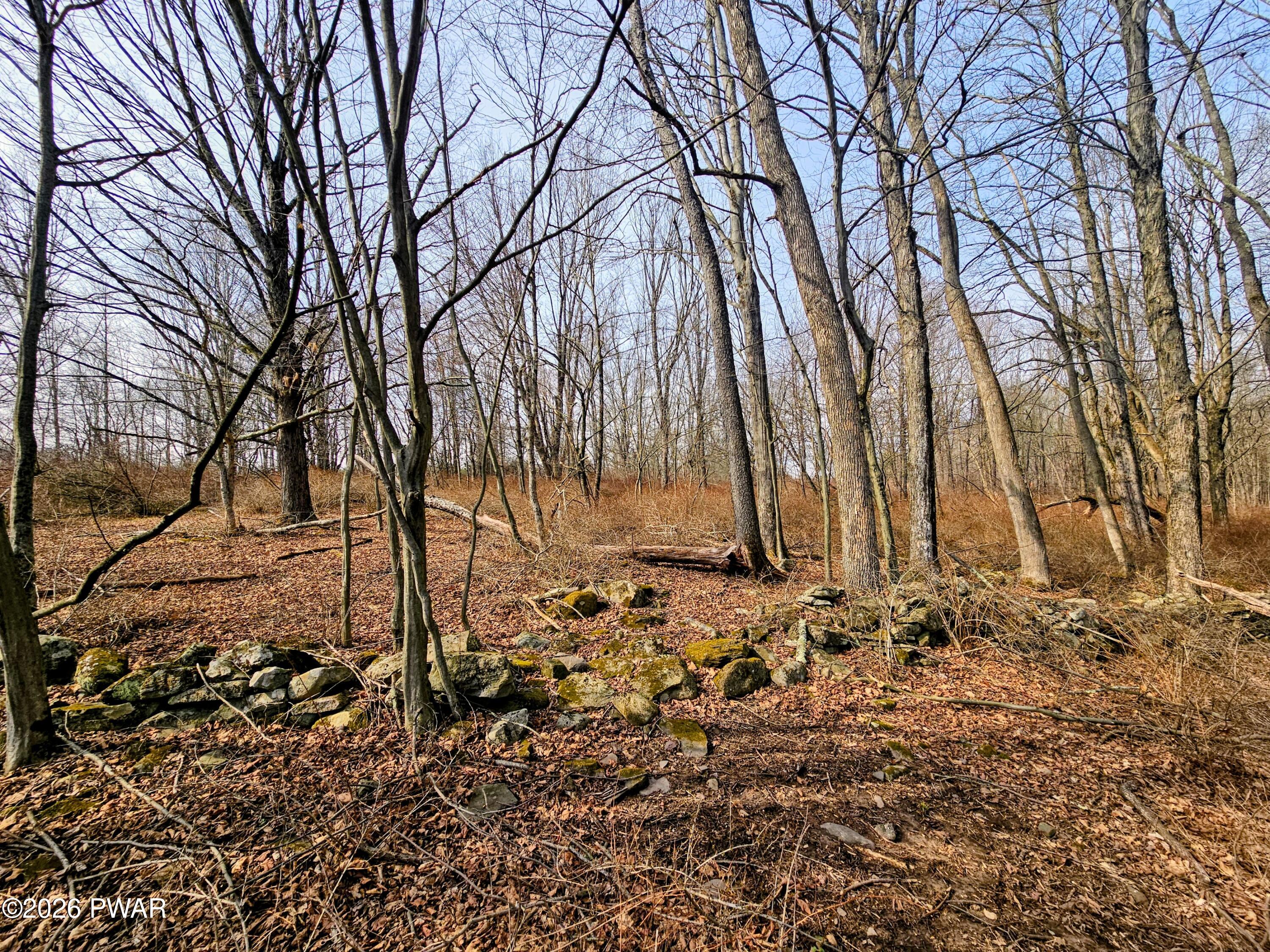 170 Zion Road Newfoundland, PA 18445 - Photo 10 of 11