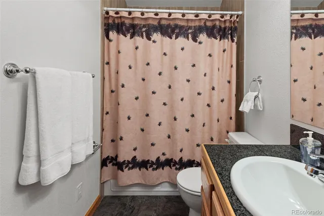 $485,000 | 172 Rogers Road, Bailey, CO 80421